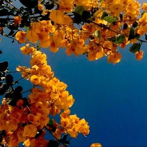 Meet your Posher, Elaine